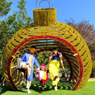LINE_ALBUM_展品_260115_17-2-3